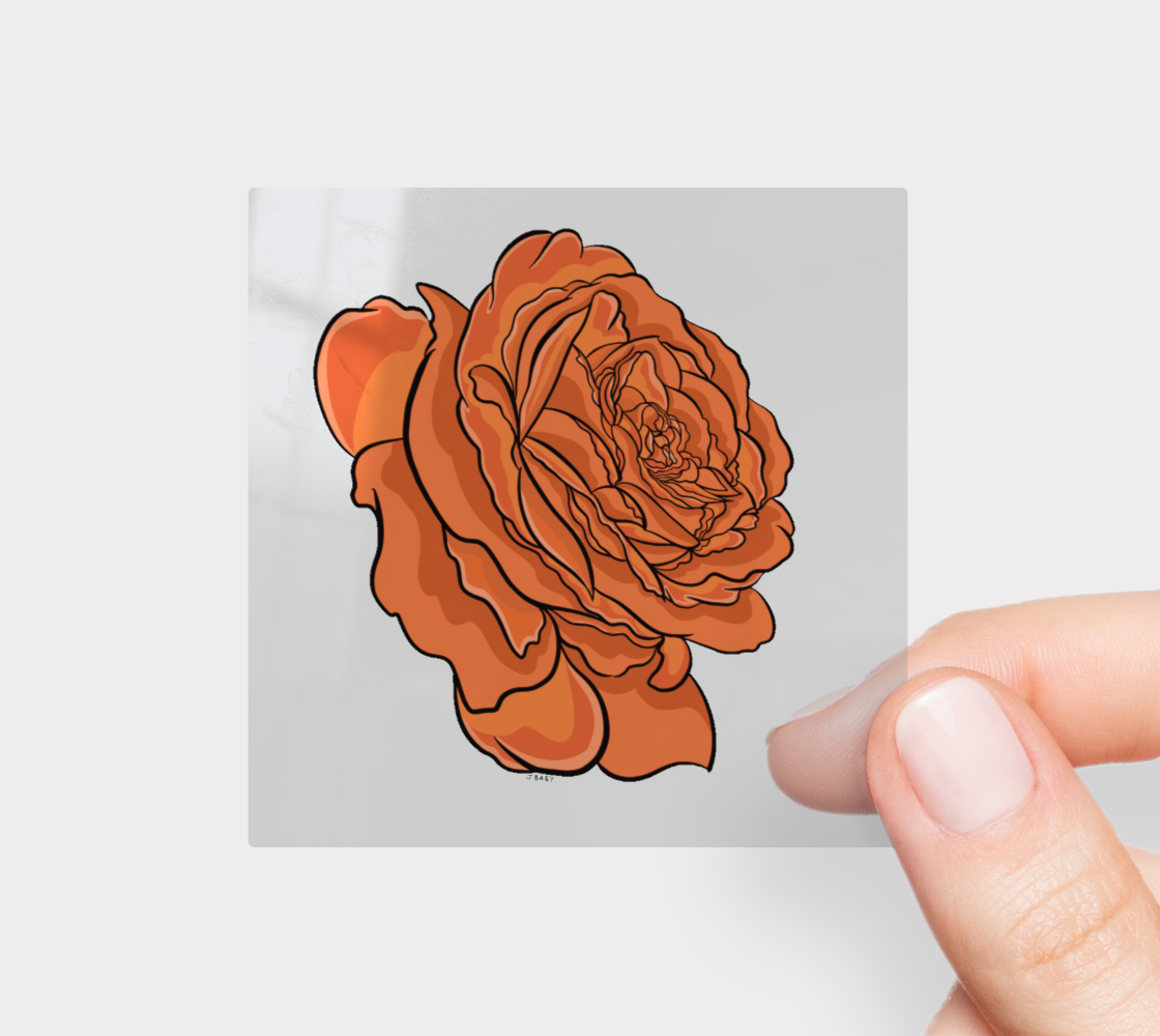 Pumpkin Orange Rose