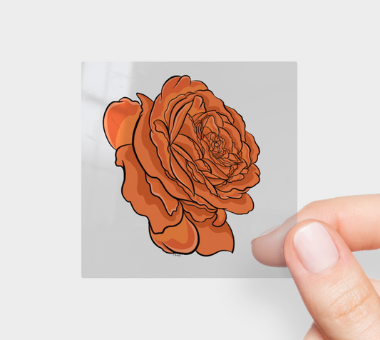 Pumpkin Orange Rose