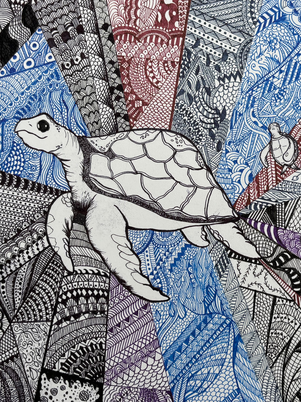 Cosmic Sea Turtle