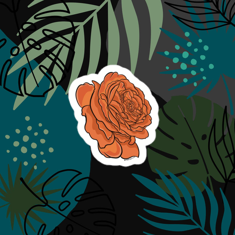 Pumpkin Orange Rose