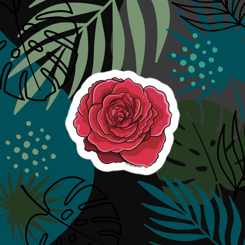 Scarlet Red Rose