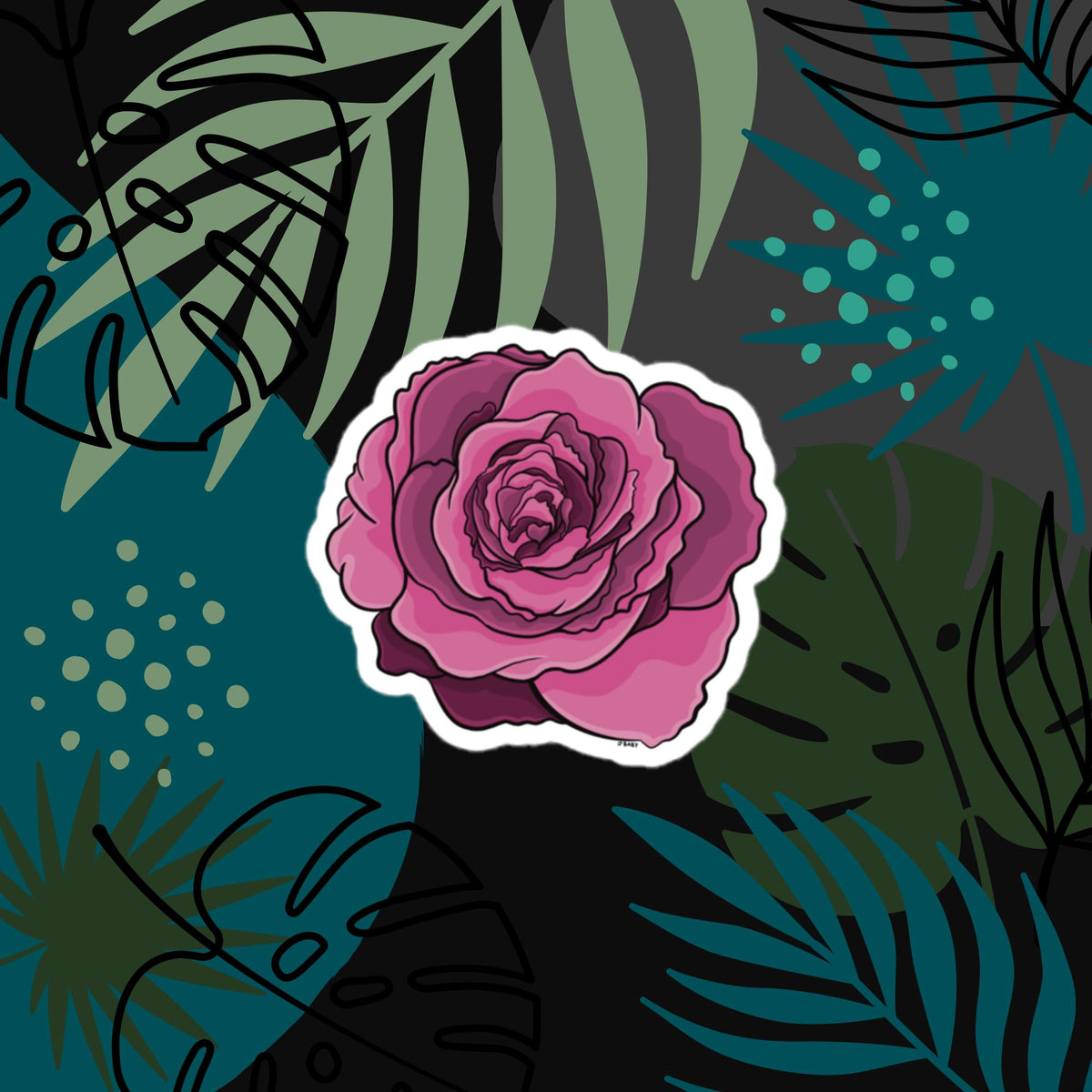 Magenta Haze Rose
