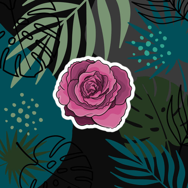 Magenta Haze Rose